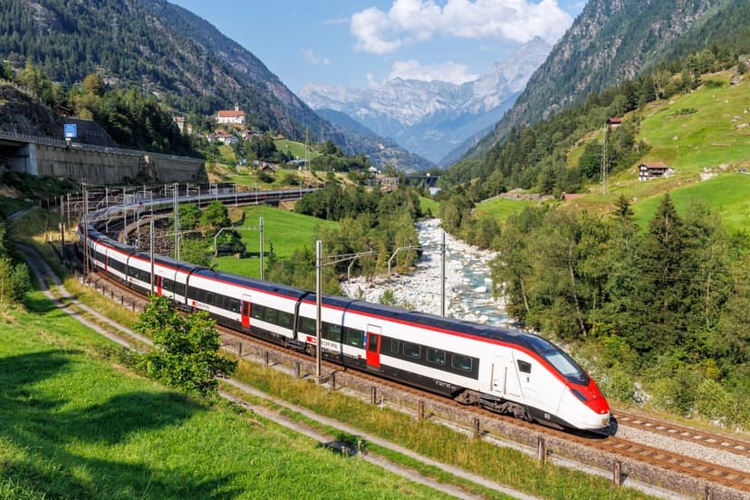 Understanding Biodiversity Monitoring in European Railways