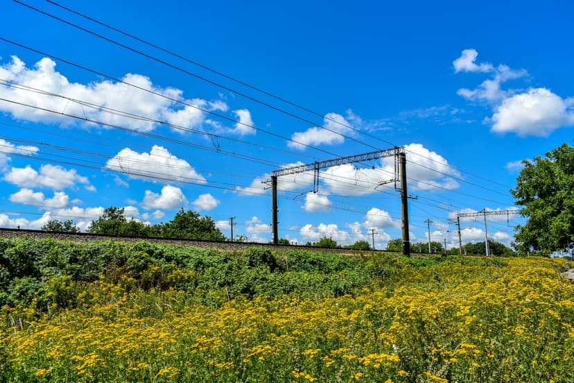 SYMBIOSIS at Mid-Term: Advancing Biodiversity Integration in Transport Infrastructure