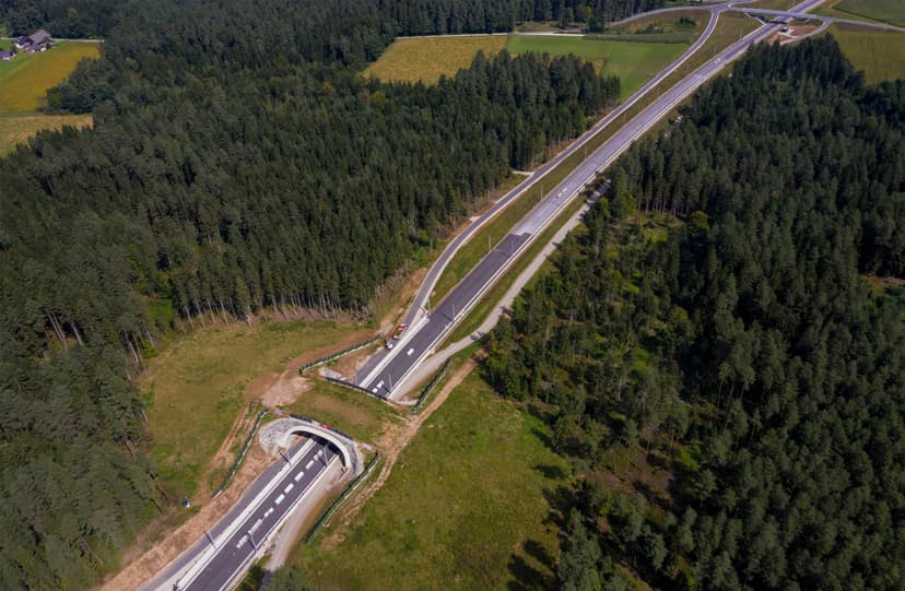 Mainstreaming Biodiversity in Transport Infrastructure
