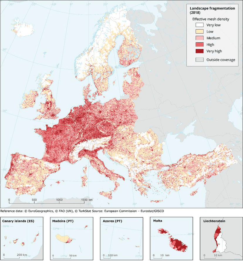 Changing the Scale of Perspective: From Linear, Isolated Transport Infrastructure to Sustainable Transport Networks