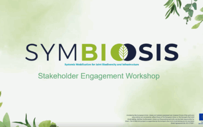 SYMBIOSIS Stakeholders Engagement Workshop: Key Takeaways