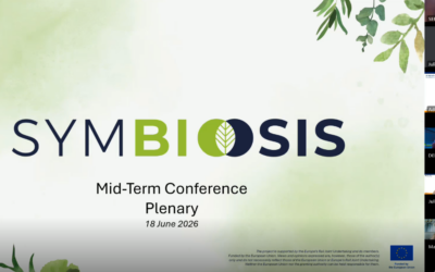SYMBIOSIS Mid-Term Plenary Meeting: Progress and Upcoming Activities